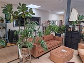 Een zithoek met een bankstel, bijpassende poef en stoel er tegenover. Aan weerskanten van de bank staan grote planten. Aan een kant staat een kastje als afscheiding.